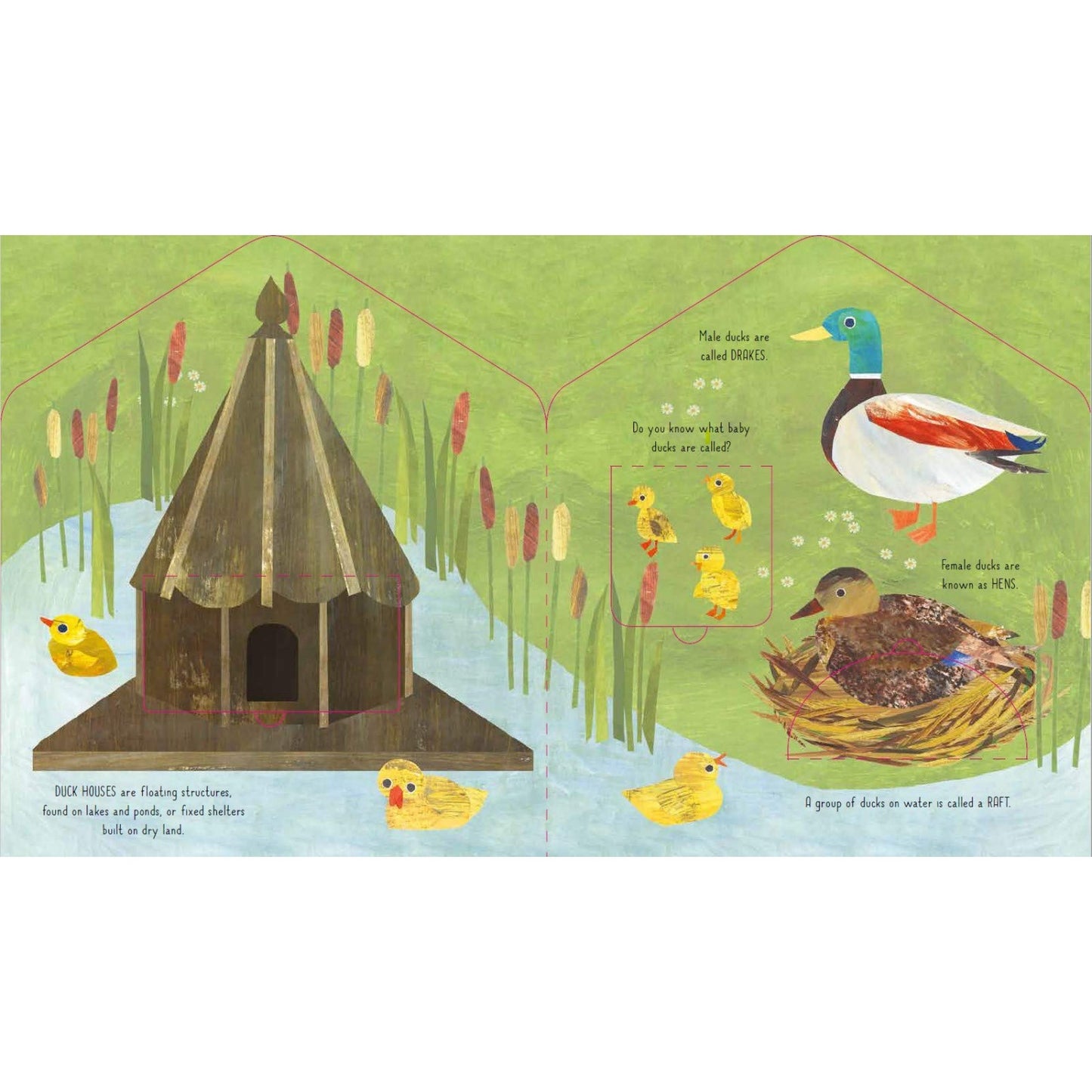 Bird House: A Clover Robin Book of Nature | Children's Lift-the-Flap Board Book