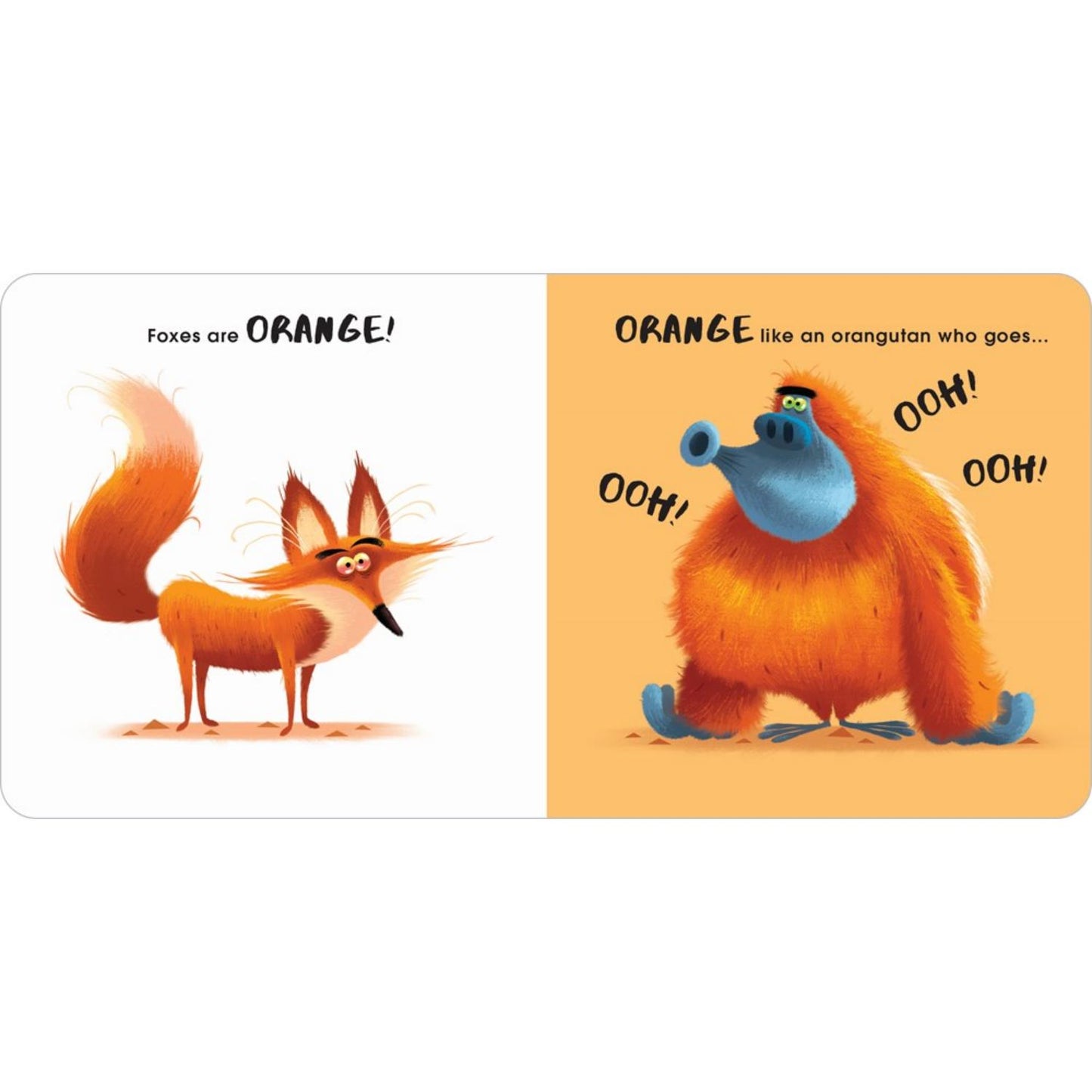 Animal Colours | Board Book for Babies & Toddlers