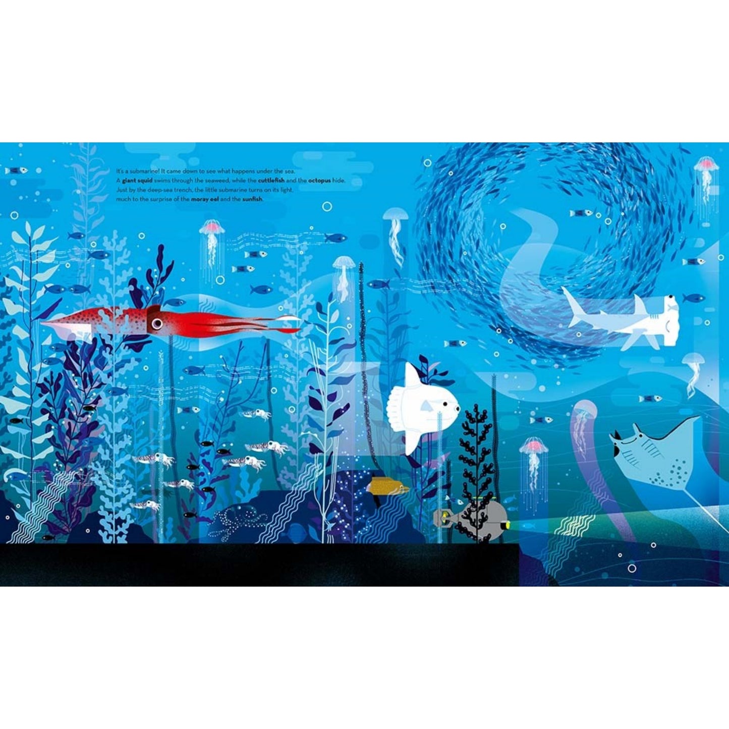 Deep in the Ocean | Children's Picture Book on Marine Life | Abrams Appleseed | Sample Page Octopus | BeoVERDE.ie