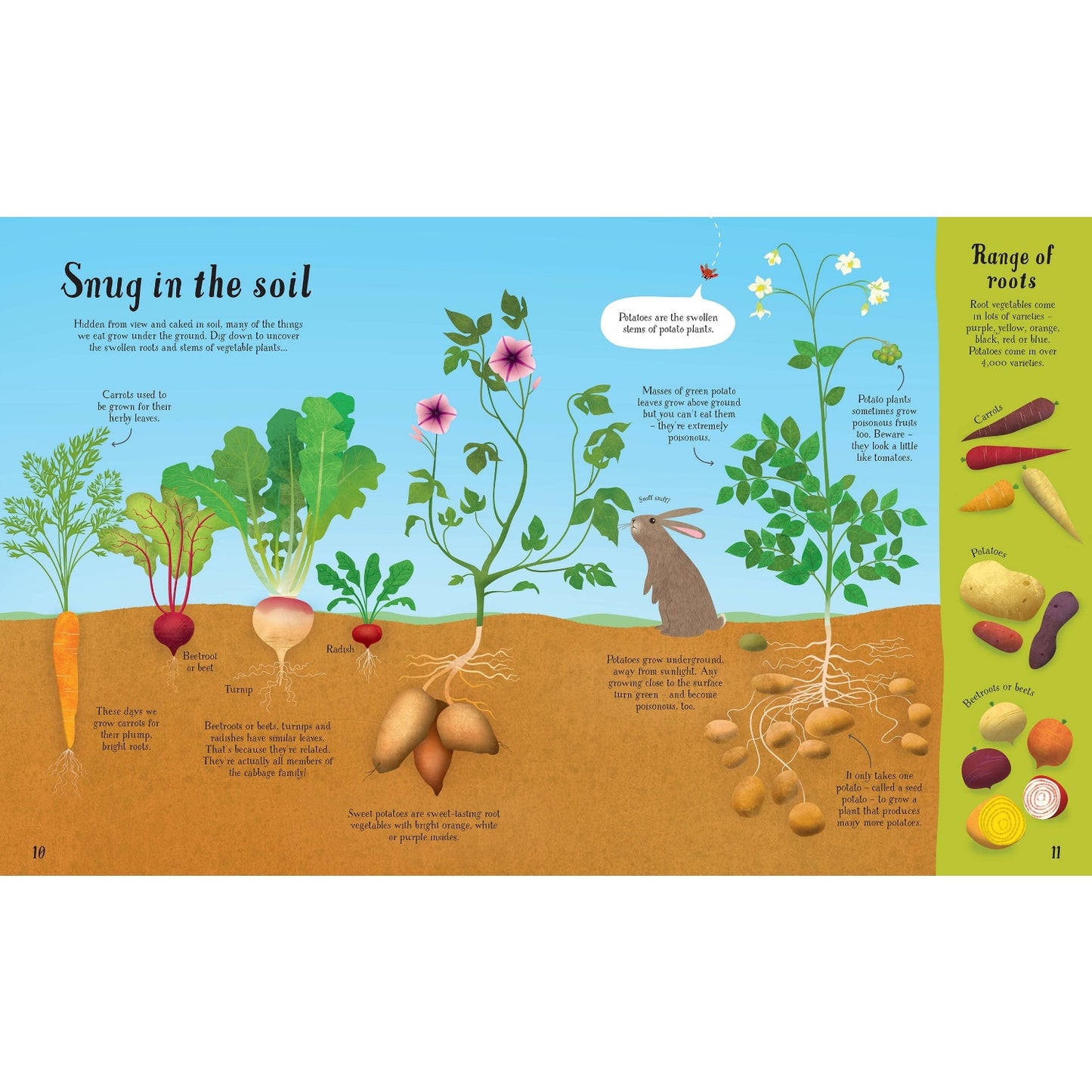 It All Starts with a Seed... | Hardcover | Children's Book on Gardening