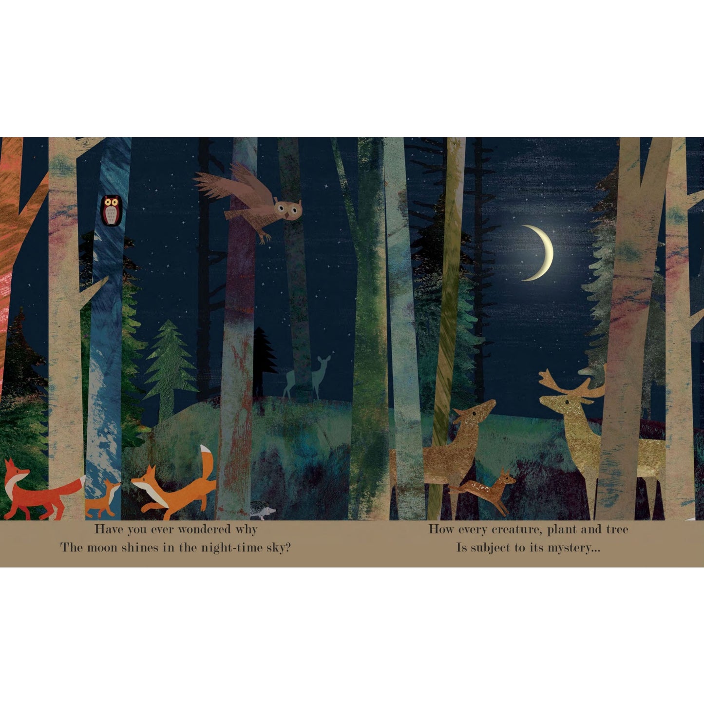 Moon: Night-Time Around The World | Children’s Board Book on Nature