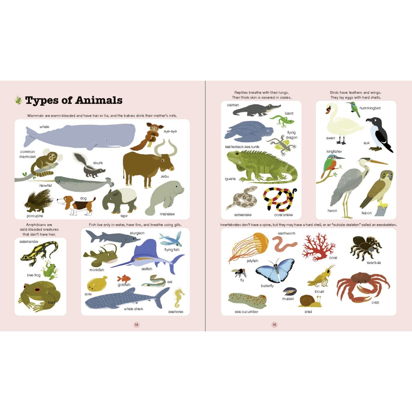 Do You Know? Animals of Land, Sea, and Air | Hardcover | Children’s Book on Nature
