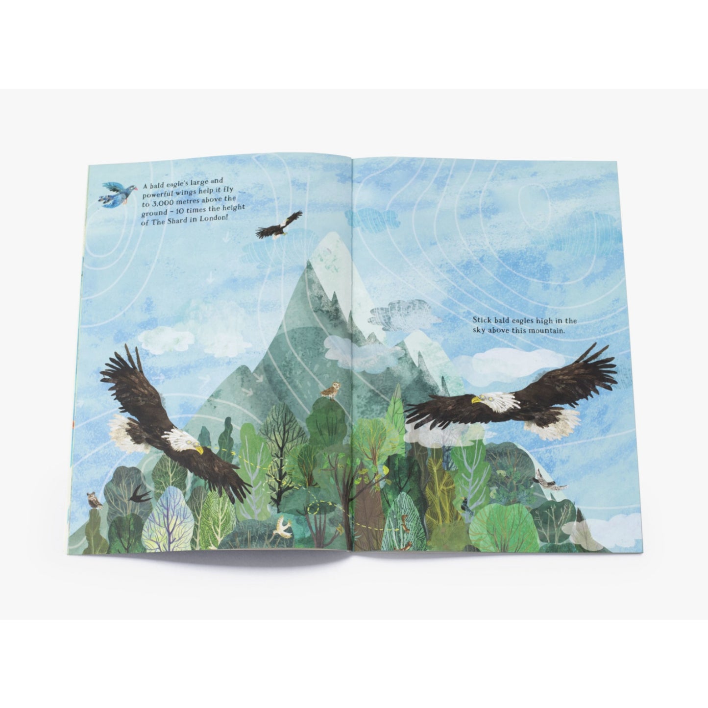 The Big Sticker Book of Birds | Children's Activity Book on Birds