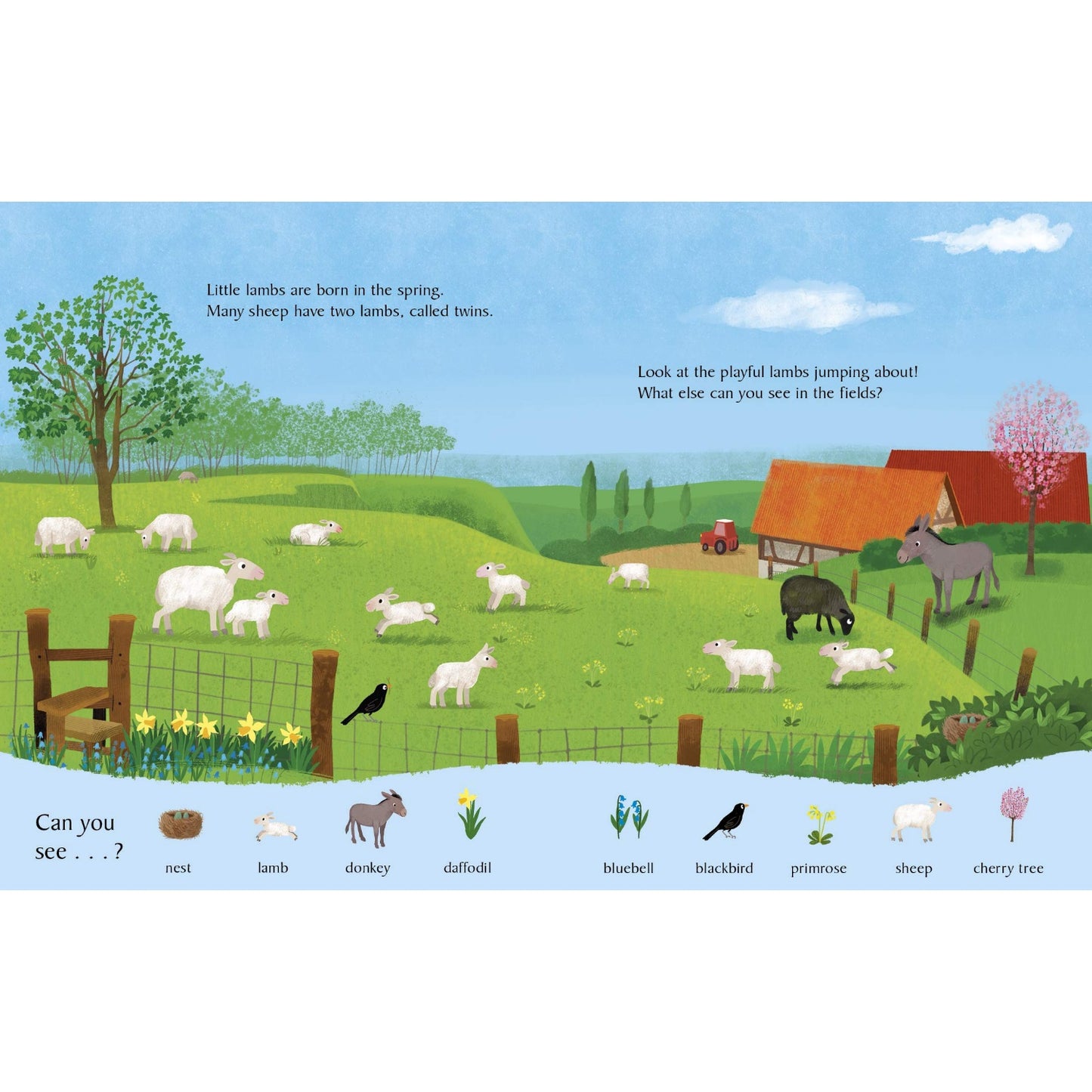 Look and Say What You See on the Farm | Children’s Book on Farm Life