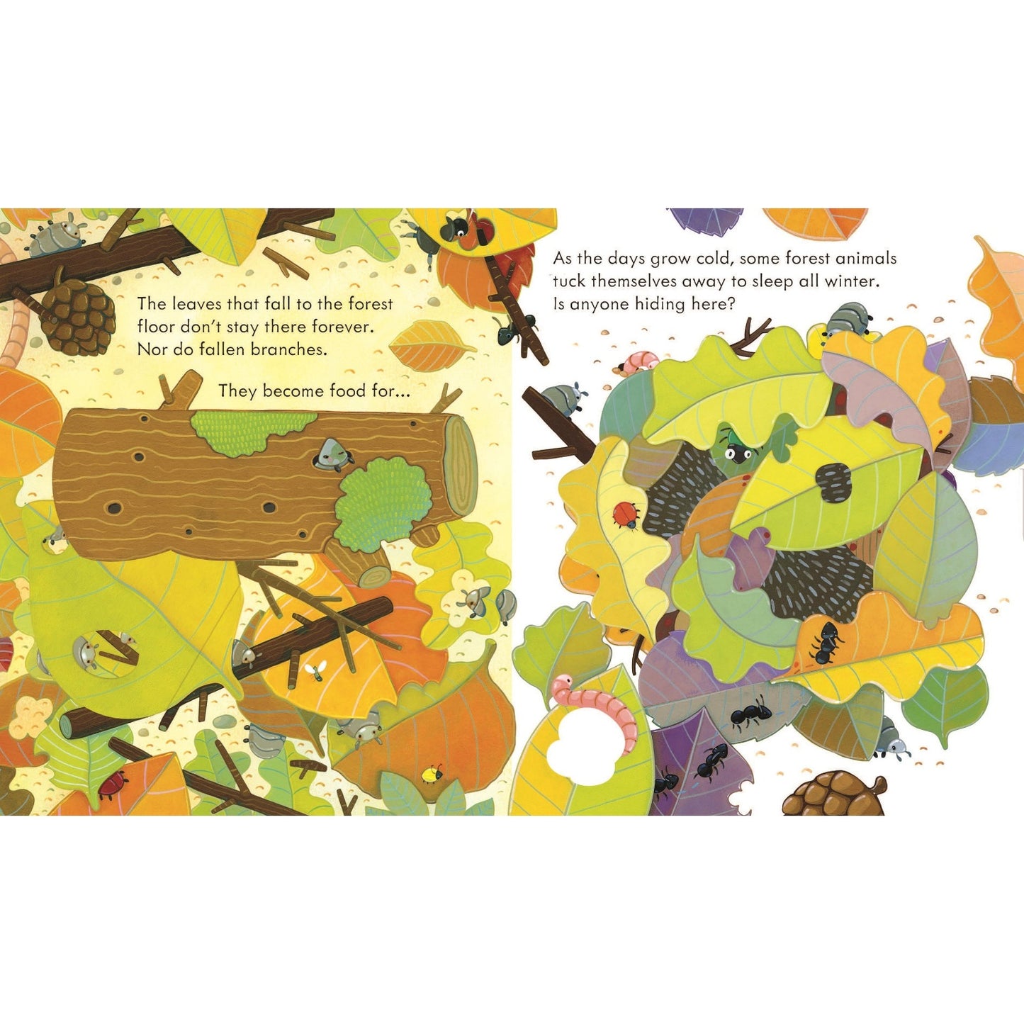 Peep Inside a Forest | Children's Book on Nature