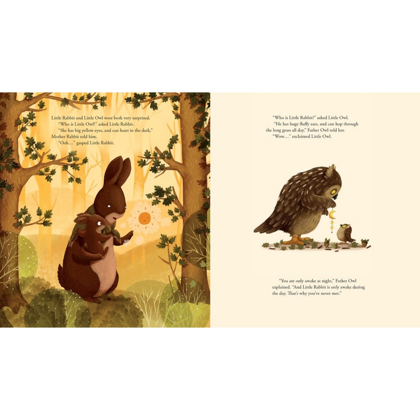 When Little Owl Met Little Rabbit | Hardcover | Tales & Myths for Children