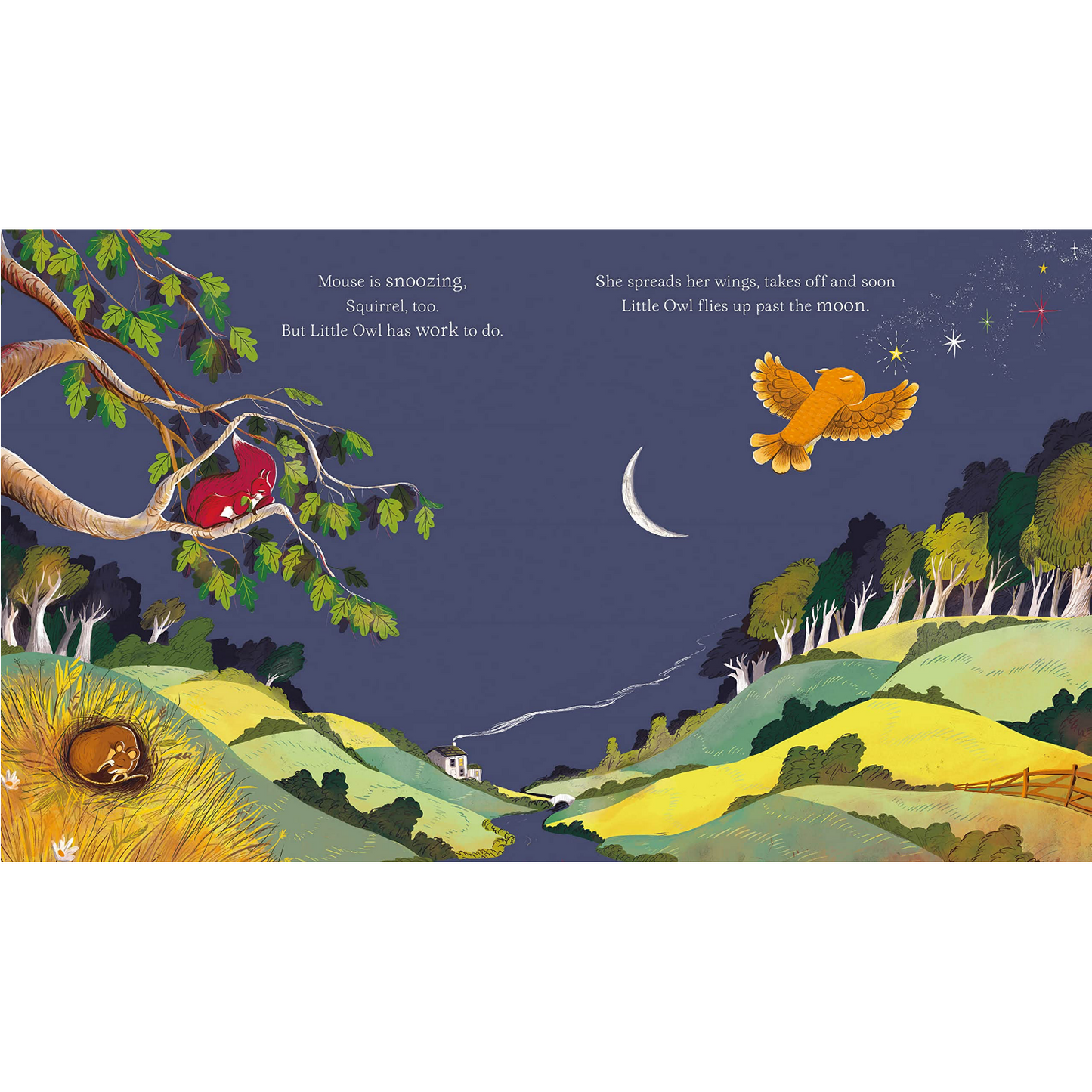 Little Owl's Bedtime | Children’s Book on Animals