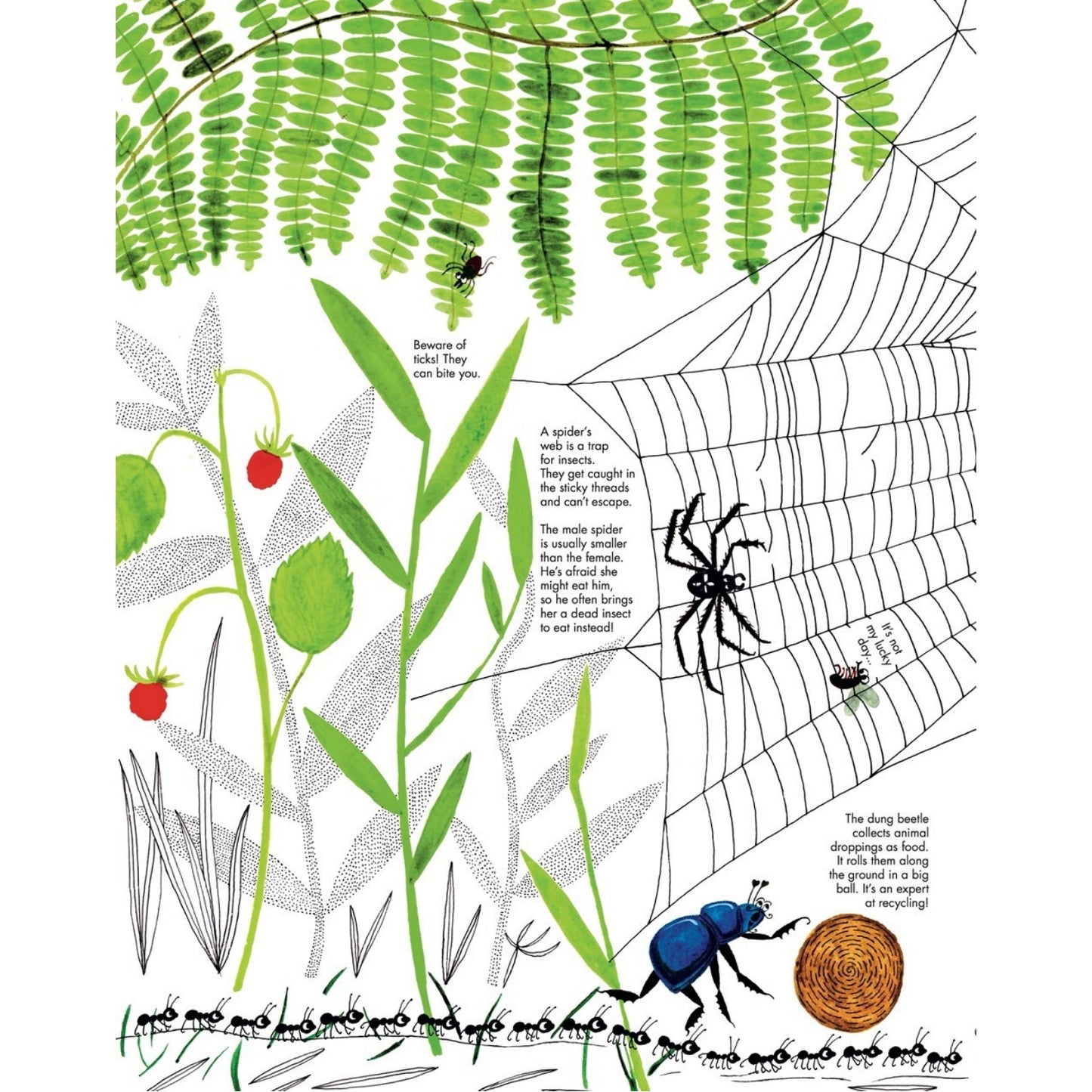 1001 Ants | Children's Picture Book on Ants