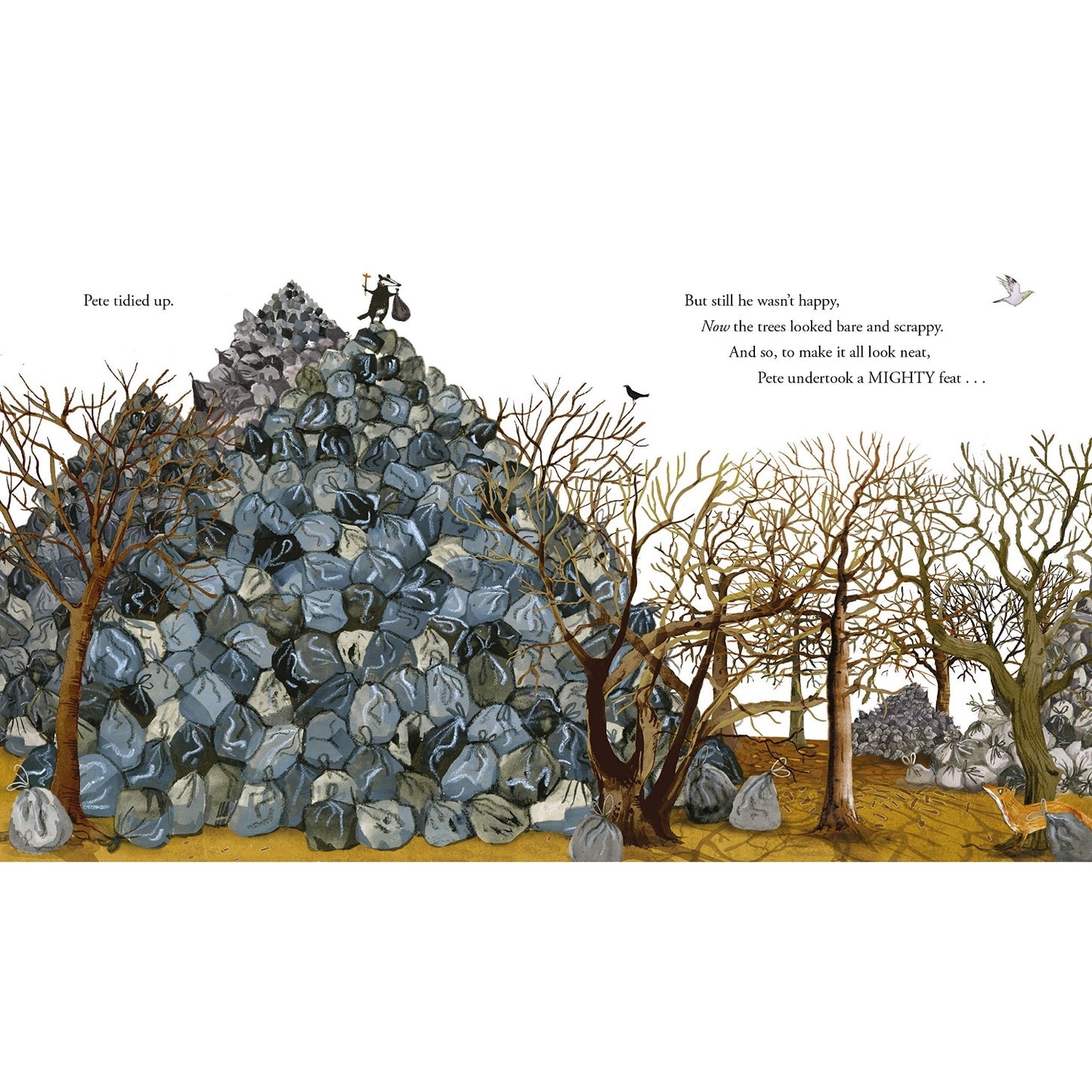Tidy | Children's Picture Book on Protecting the Environment