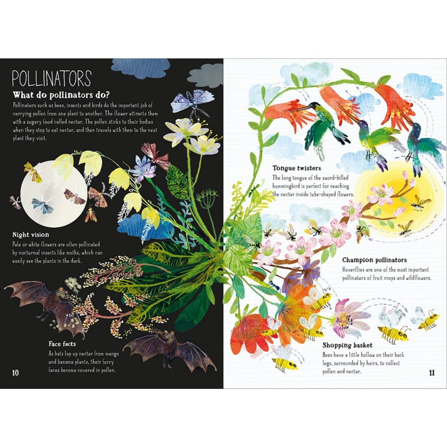 The Big Book of Blooms | Children's Picture Book on Plants & Flowers