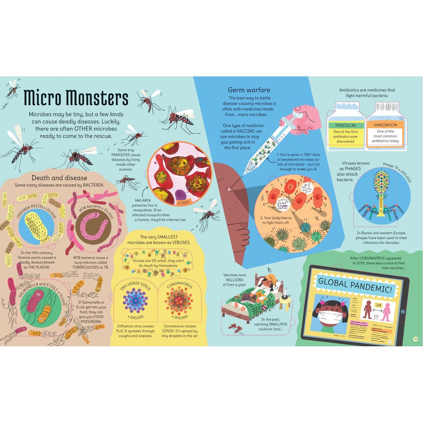 See Inside Microscopic World | Hardcover | Children's Book on Nature