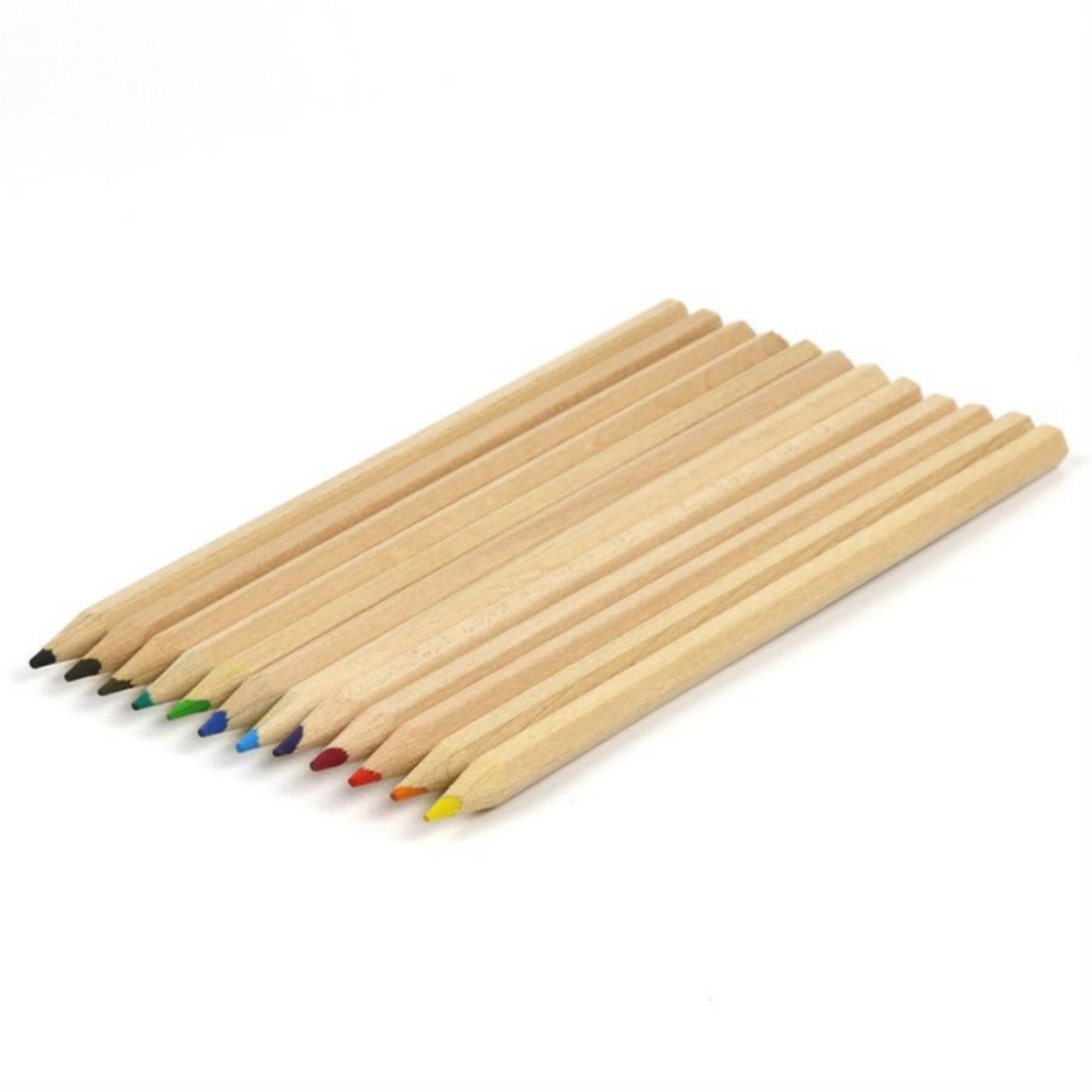Non-Toxic Wooden Coloured Pencils | 12 Vibrant Colours | Coloured Pencils Closeup | BeoVERDE.ie