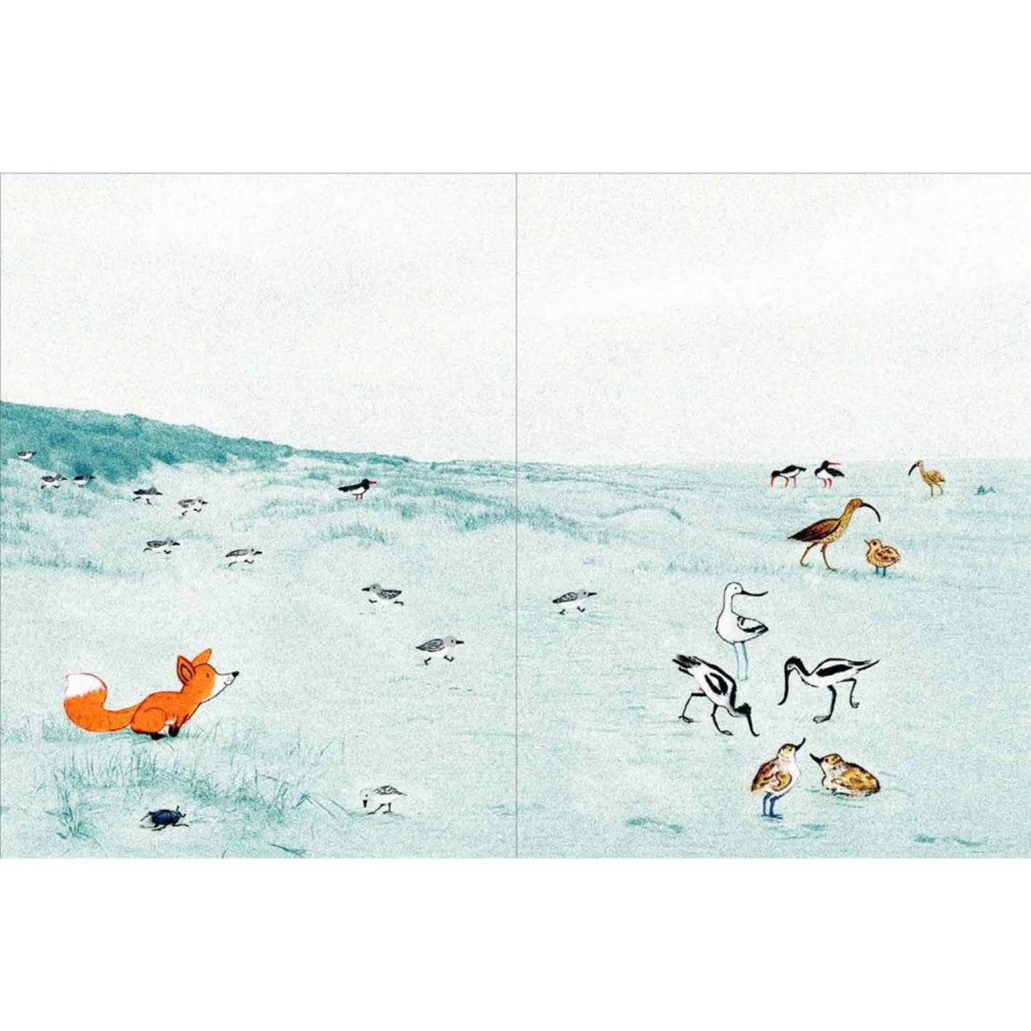 Little Fox | Children's Book on Friendship | Levine Querido | Sample Pages | BeoVERDE.ie