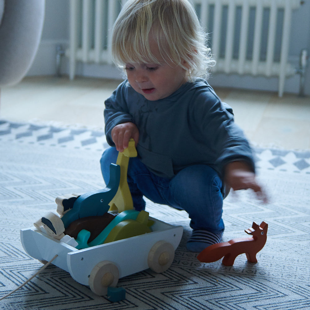 TenderLeaf Noah's Shape Sorter Ark | Hand-Crafted Wooden Animal Toys | Toddler Playing |BeoVERDE.ie