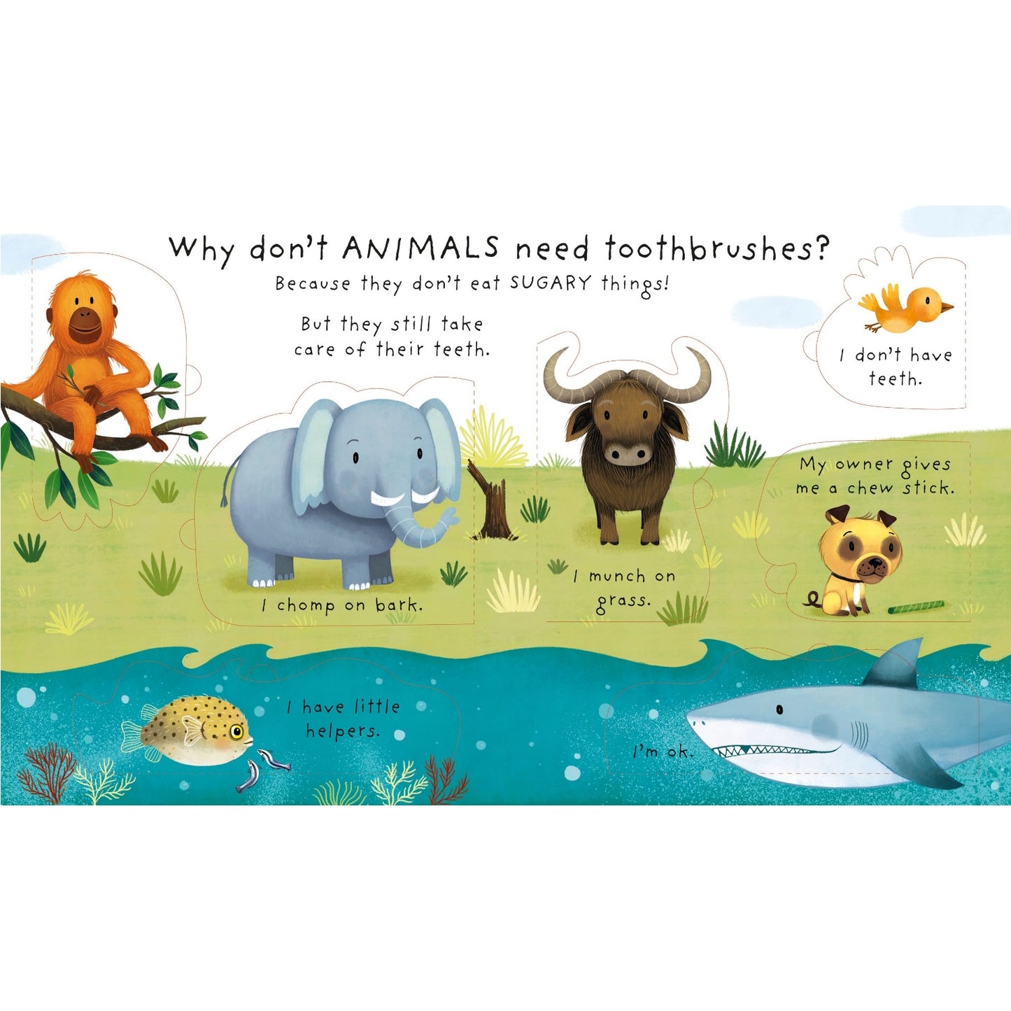 Why Should I Brush My Teeth? - Very First Questions & Answers Lift-the-Flap Board Book