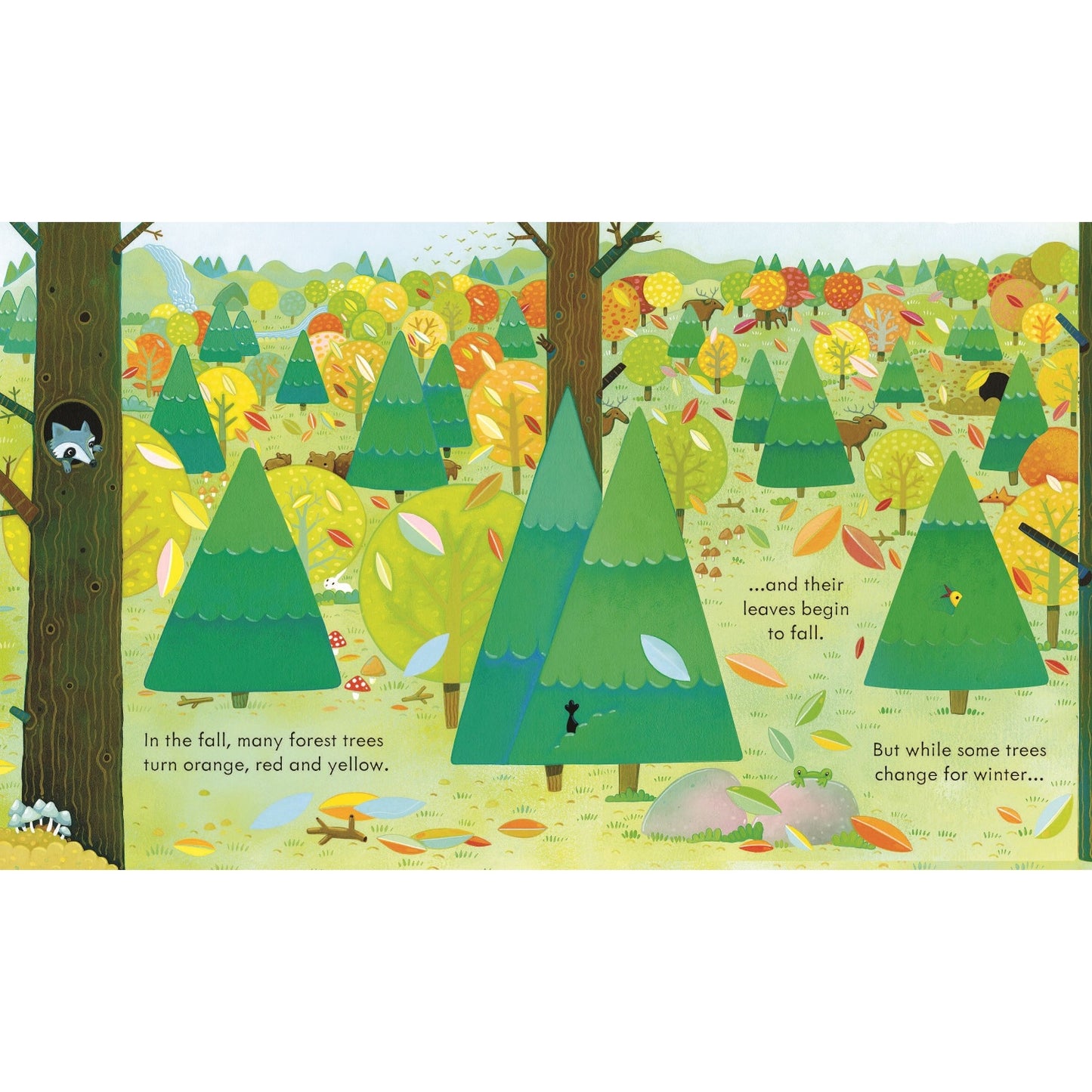 Peep Inside a Forest | Children's Book on Nature