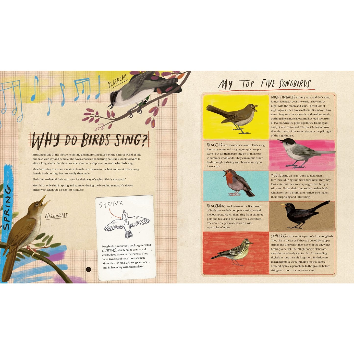 A Wild Child's Book of Birds | Hardcover | Children’s Book on Nature