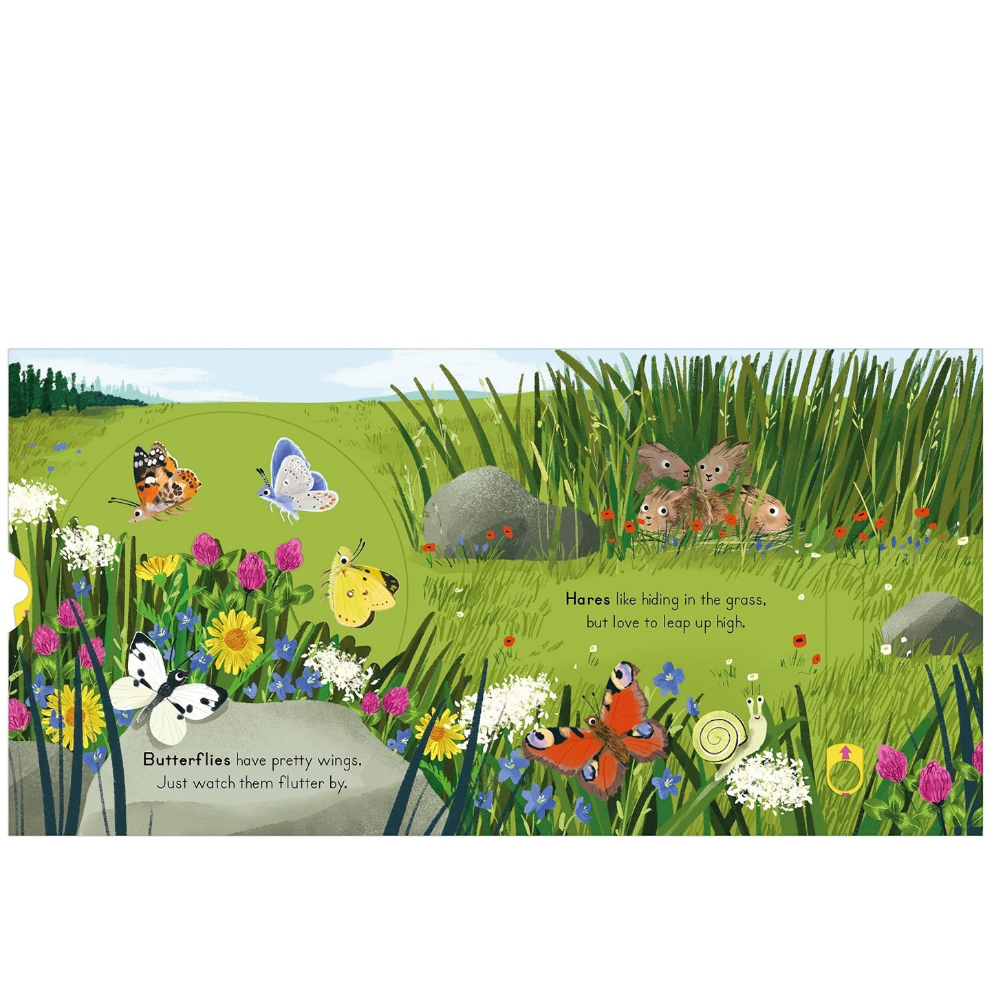 Countryside - Big Outdoors for Little Explorers | Interactive Board Book