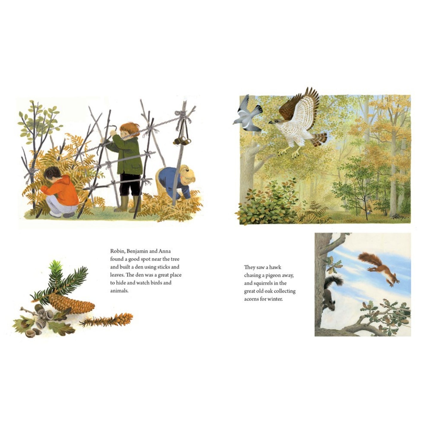 A Year Around the Great Oak | Gerda Muller | Hardcover | Children’s Book on Nature