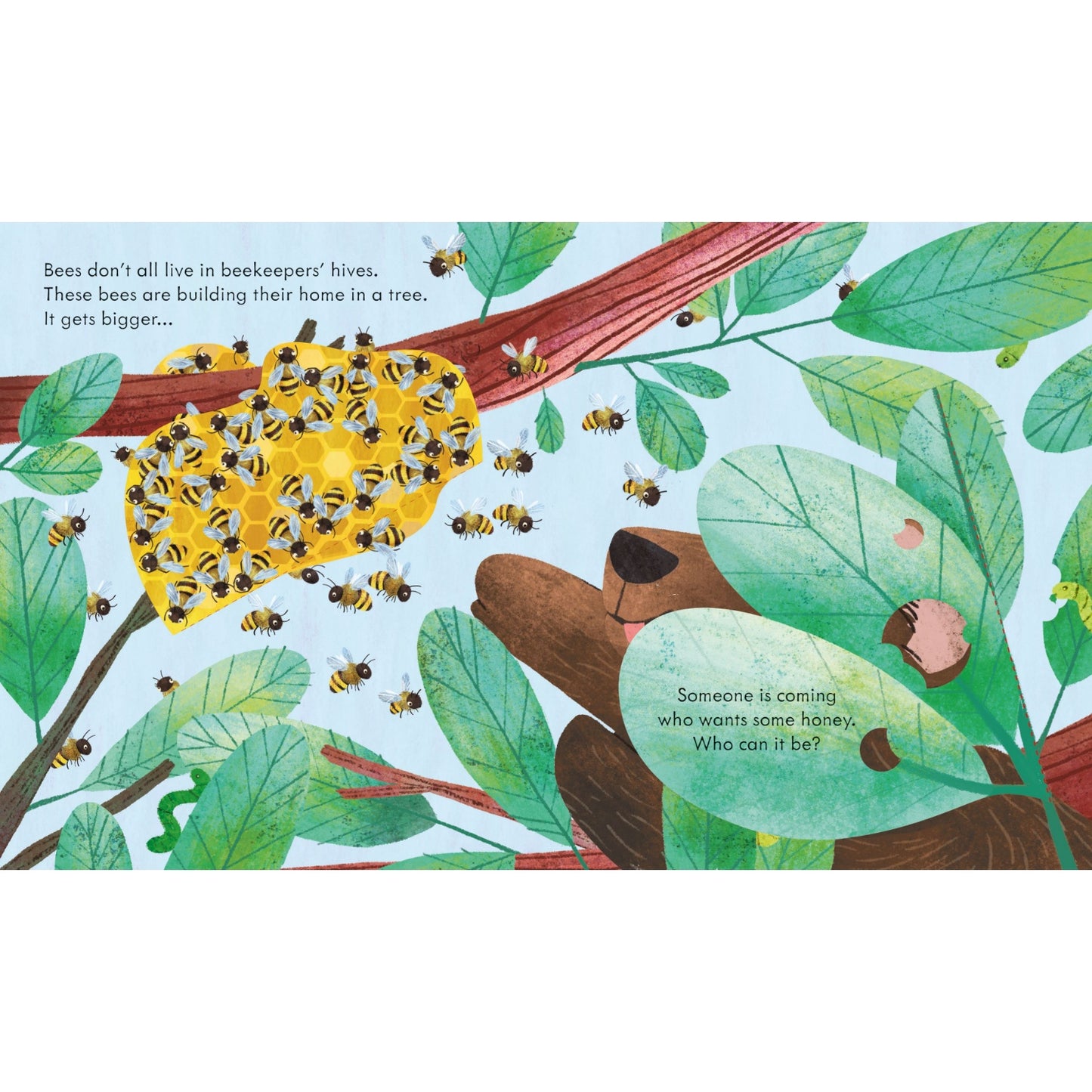 Peep Inside A Beehive | Children's Book on Bees and  Nature