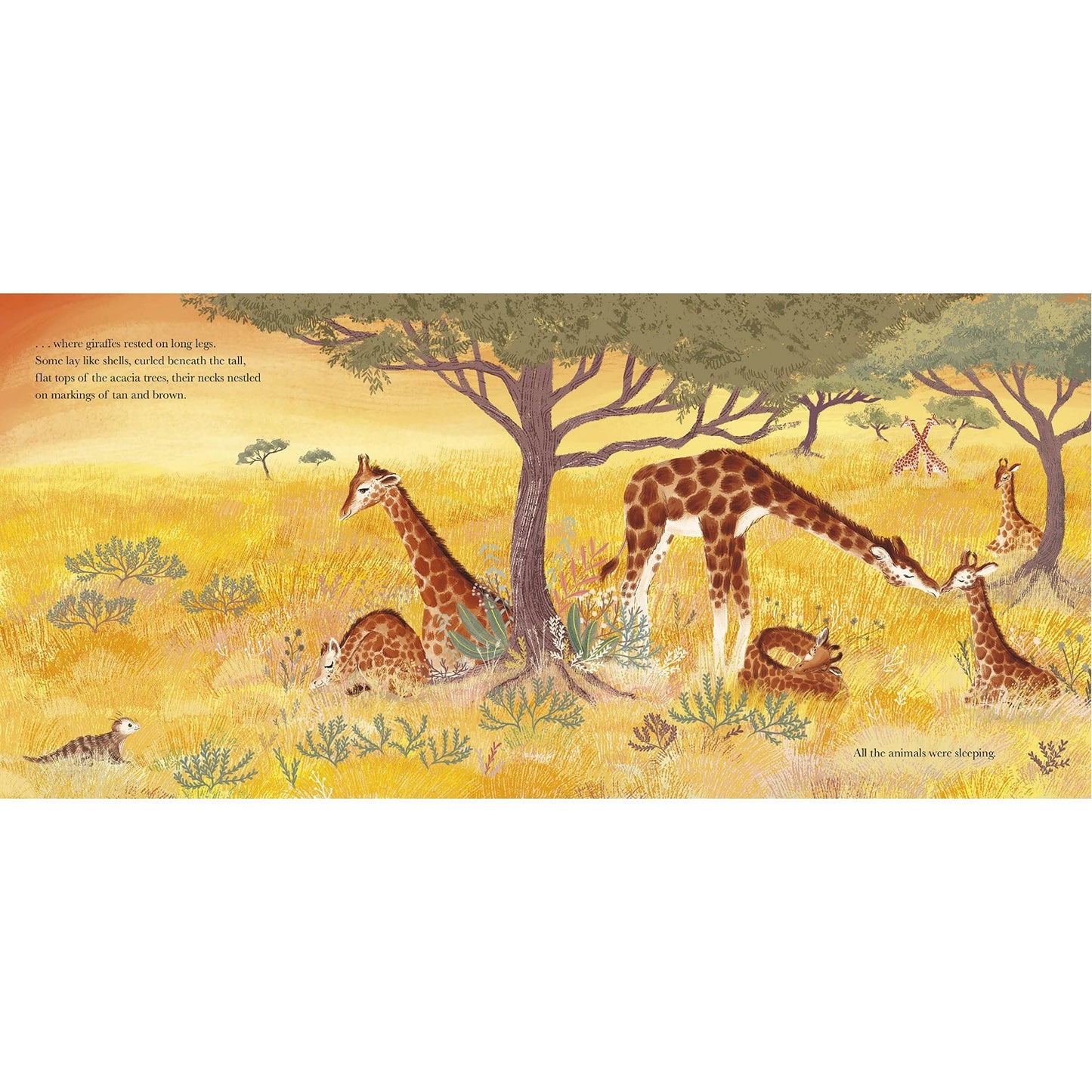 All the Animals Were Sleeping | Hardcover | Children’s Book on Nature