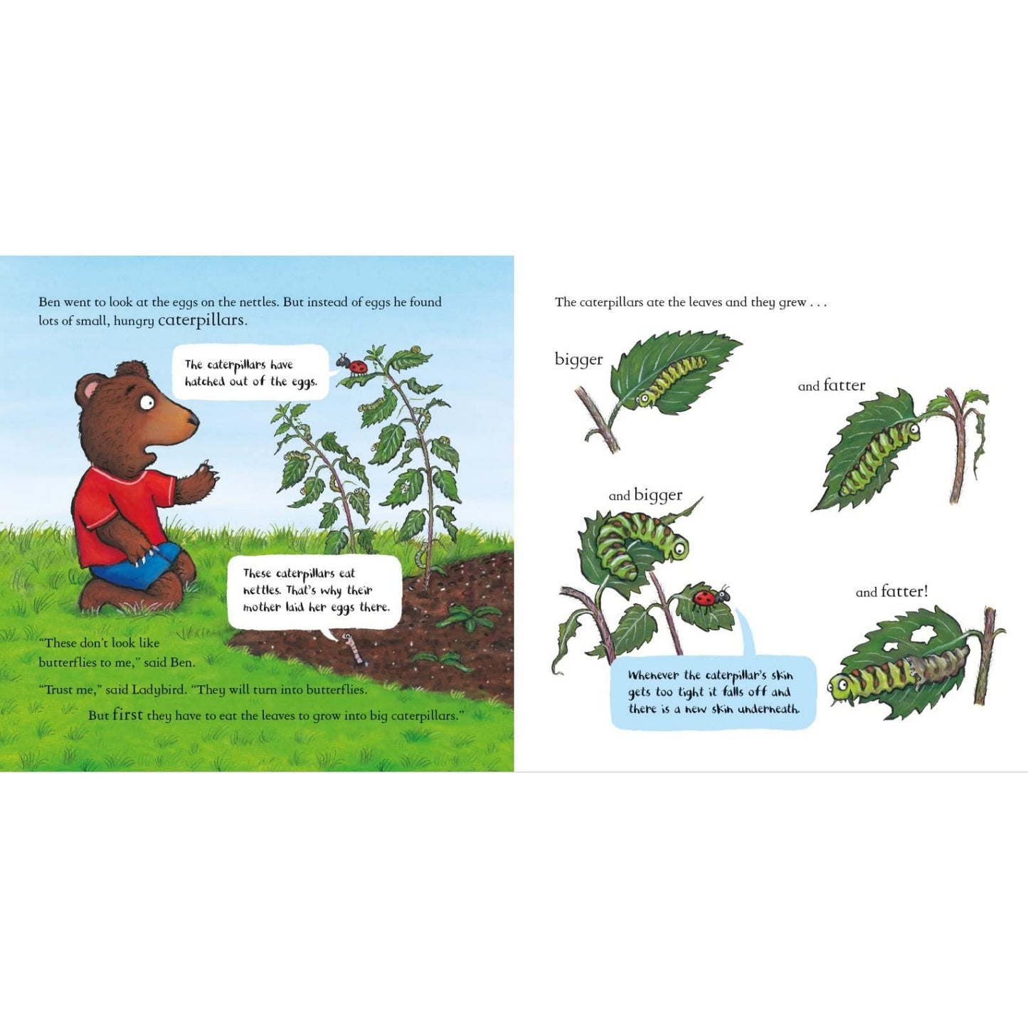 Ben Plants a Butterfly Garden | Hardcover | Children’s Book on Nature