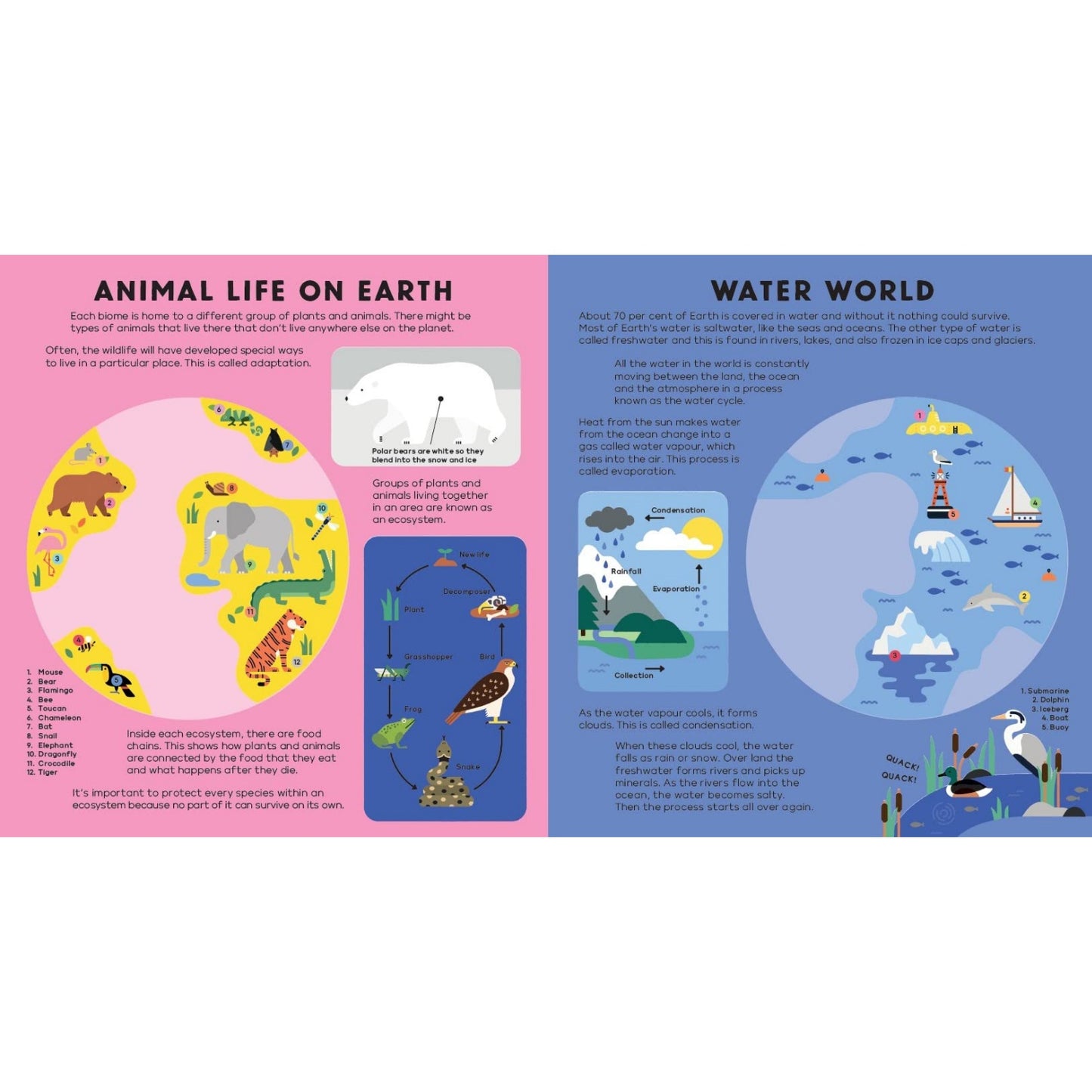 The Earth Book | Children’s Book on the Earth with See-Through Pages