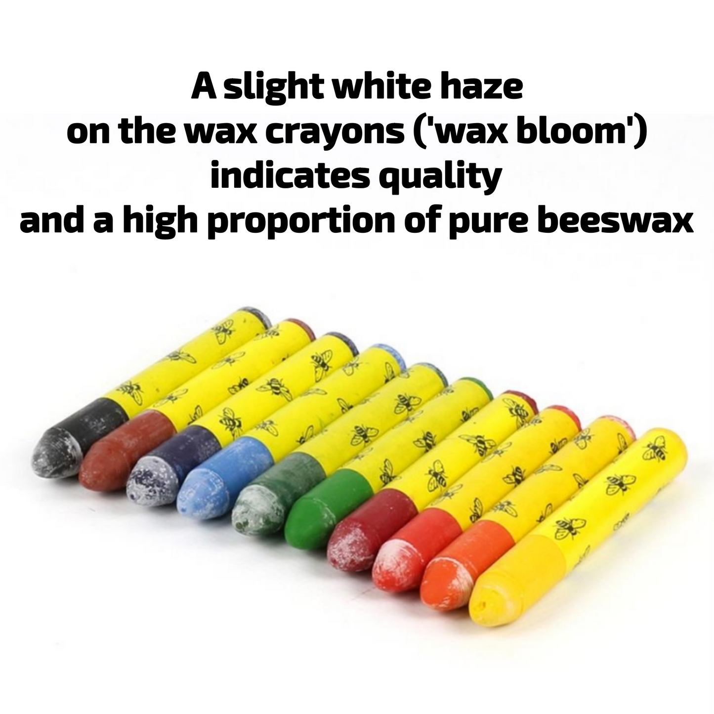 okoNORM Natural Oil Pastel Crayons, 10 Vibrant Colours