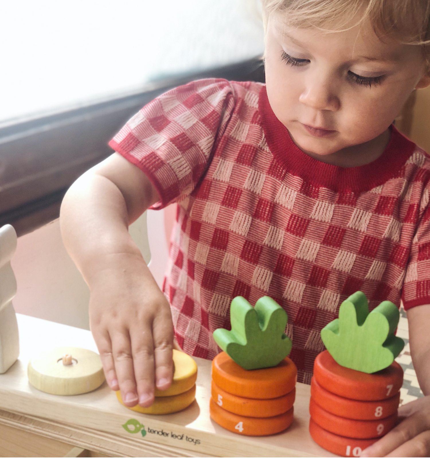Tender Leaf Counting Carrots | Hand-Crafted Wooden Educational Toy | Girl Counting | BeoVERDE.ie