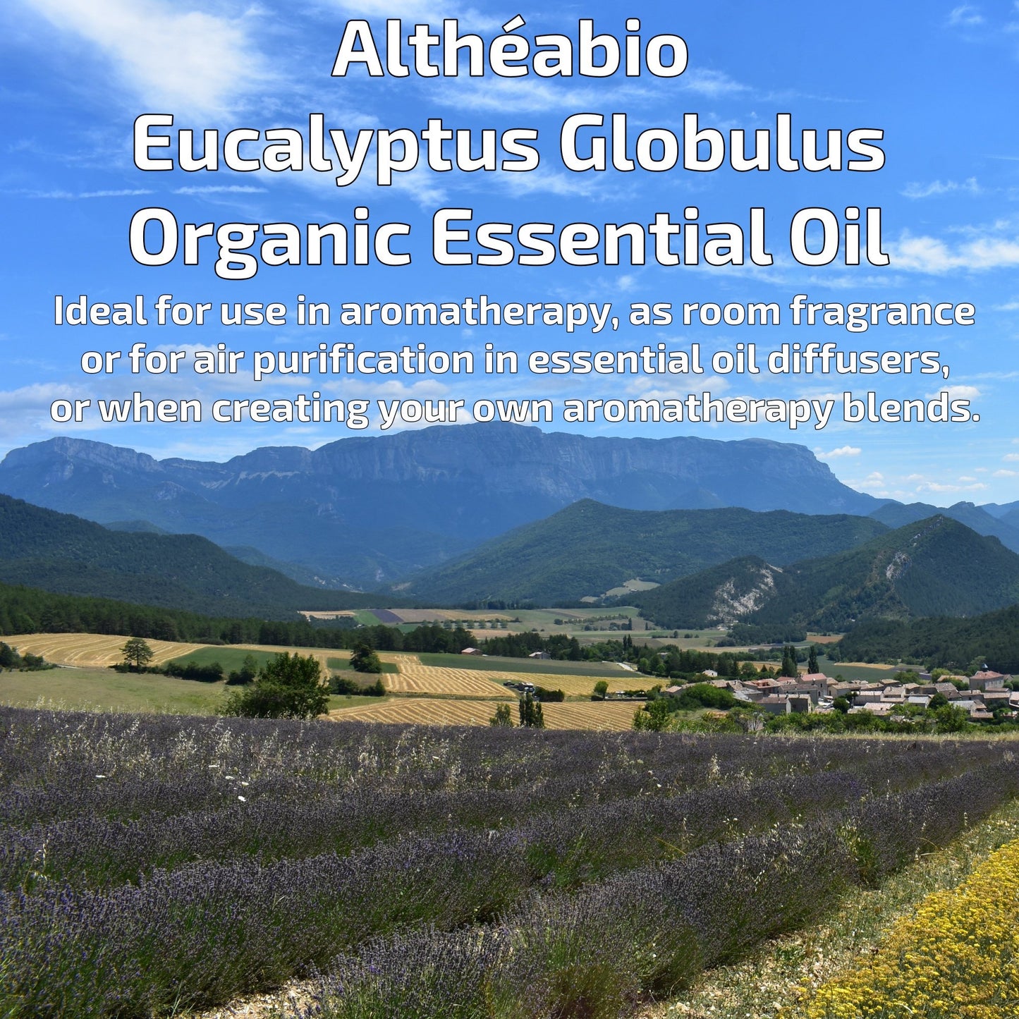 Organic Eucalyptus Globulus Essential Oil Aromatherapy | How To Use | BeoVERDE.ie