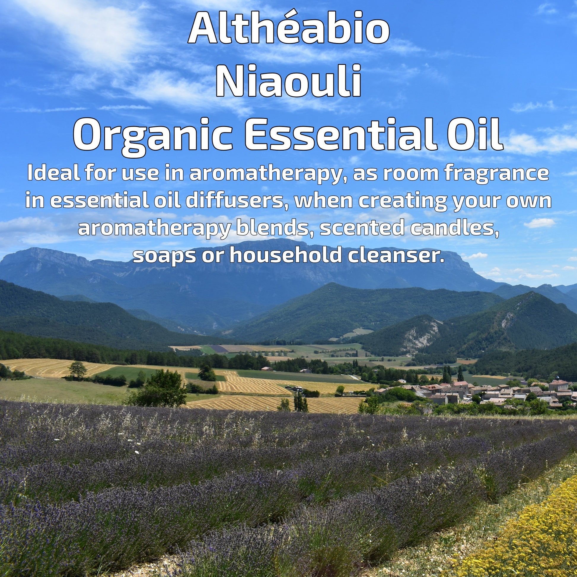 Organic Niaouli Essential Oil Aromatherapy | How To Use | BeoVERDE.ie