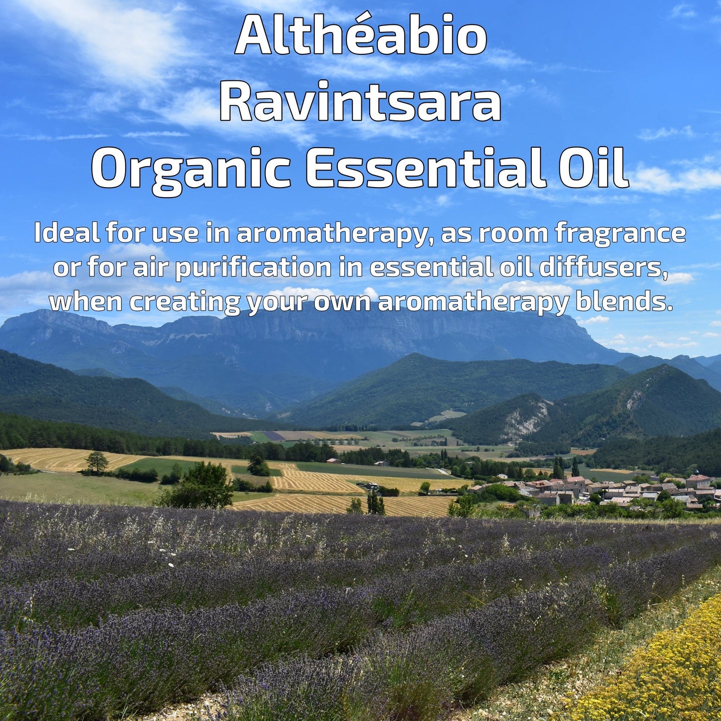 Organic Ravintsara Essential Oil Aromatherapy | How To Use | BeoVERDE.ie