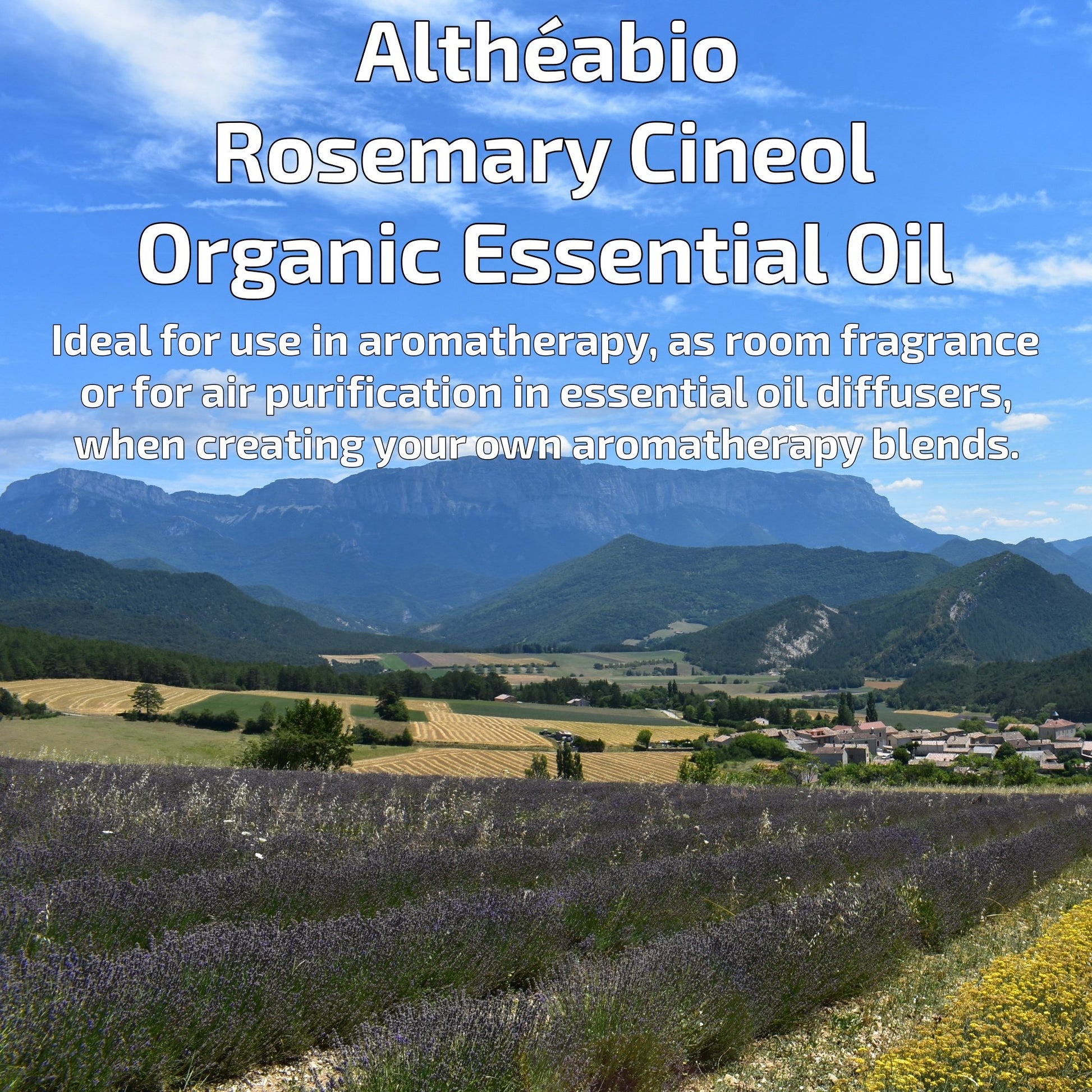 Organic Rosemary Cineol Essential Oil Aromatherapy | How To Use | BeoVERDE.ie