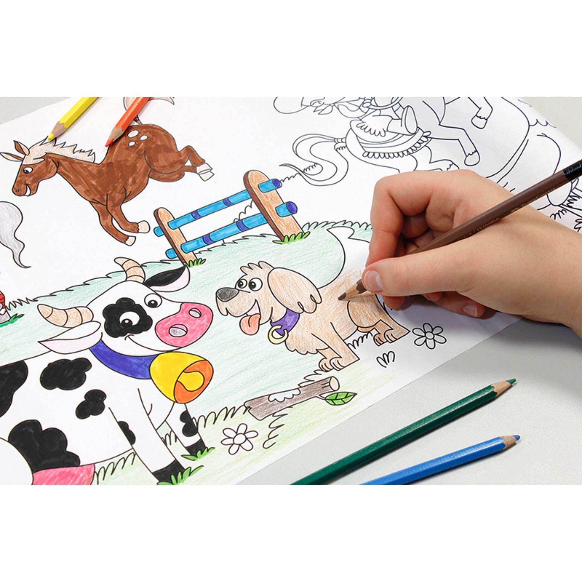 Self-Stick Colouring Book & Roll | Farm Life Adventures | Child Colouring Sheet | BeoVERDE.ie