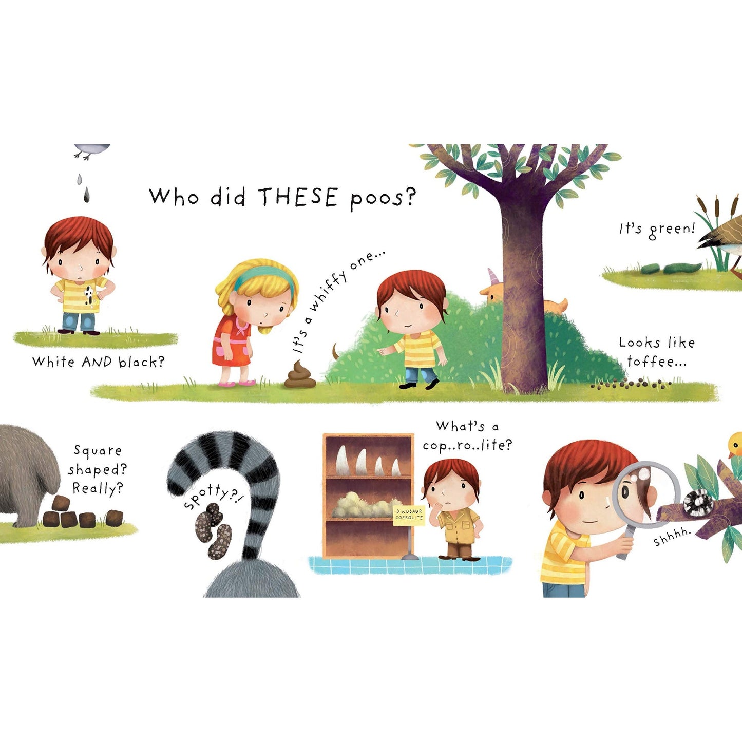 What is Poo? - Very First Questions & Answers Lift-the-Flap Board Book