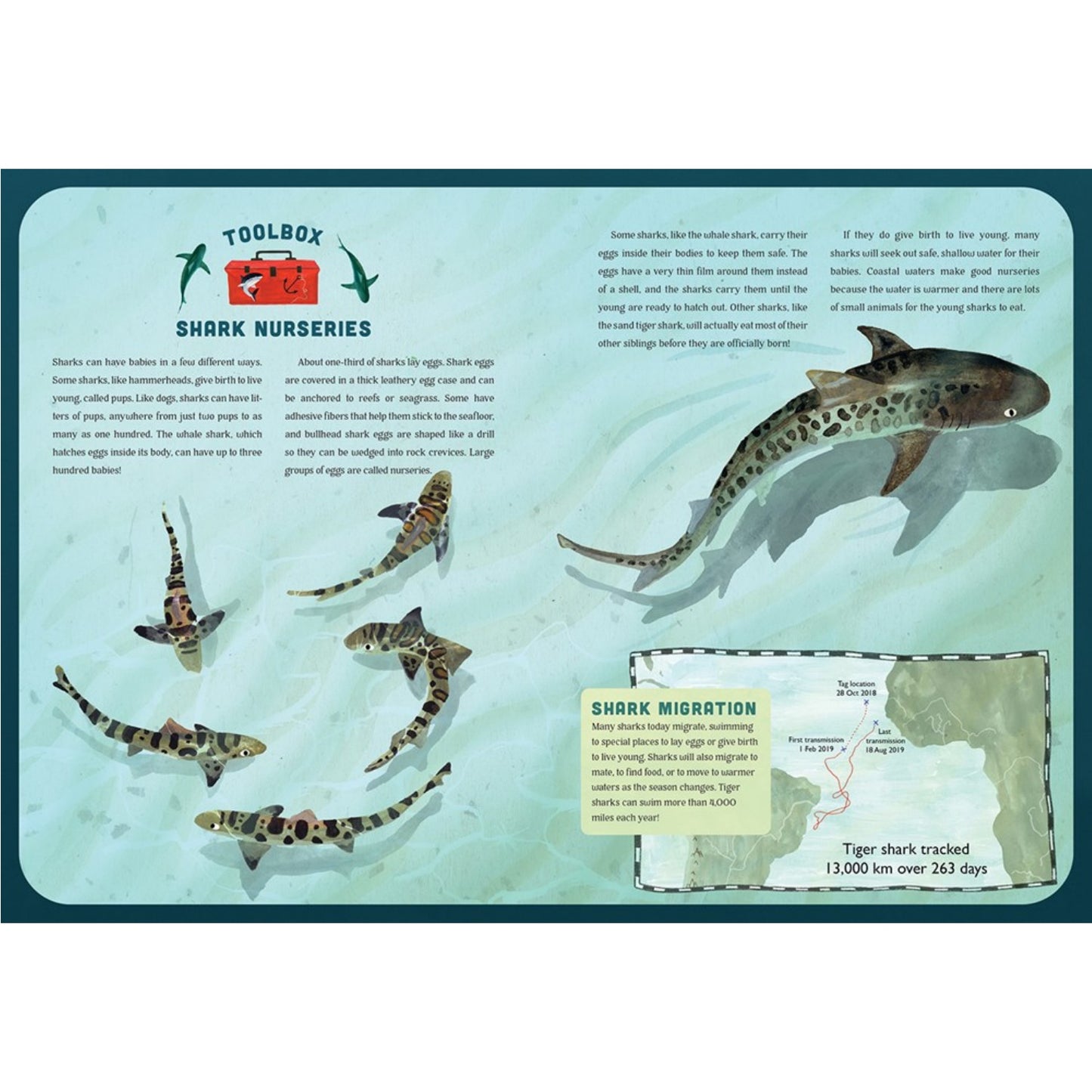 Sharks: A Mighty Bite-y History | Hardcover | Children’s Book on Nature