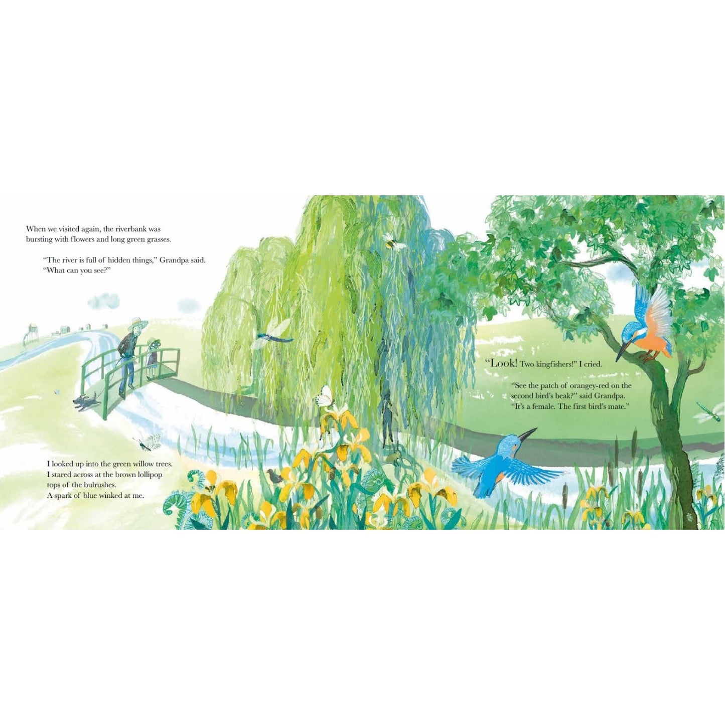 Grandpa and the Kingfisher | Children’s Book on Family Life