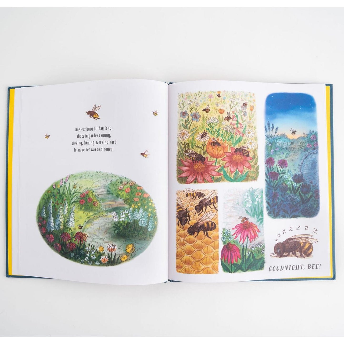 Slow Down... and Sleep Tight | Hardcover | Children's Books on Nature