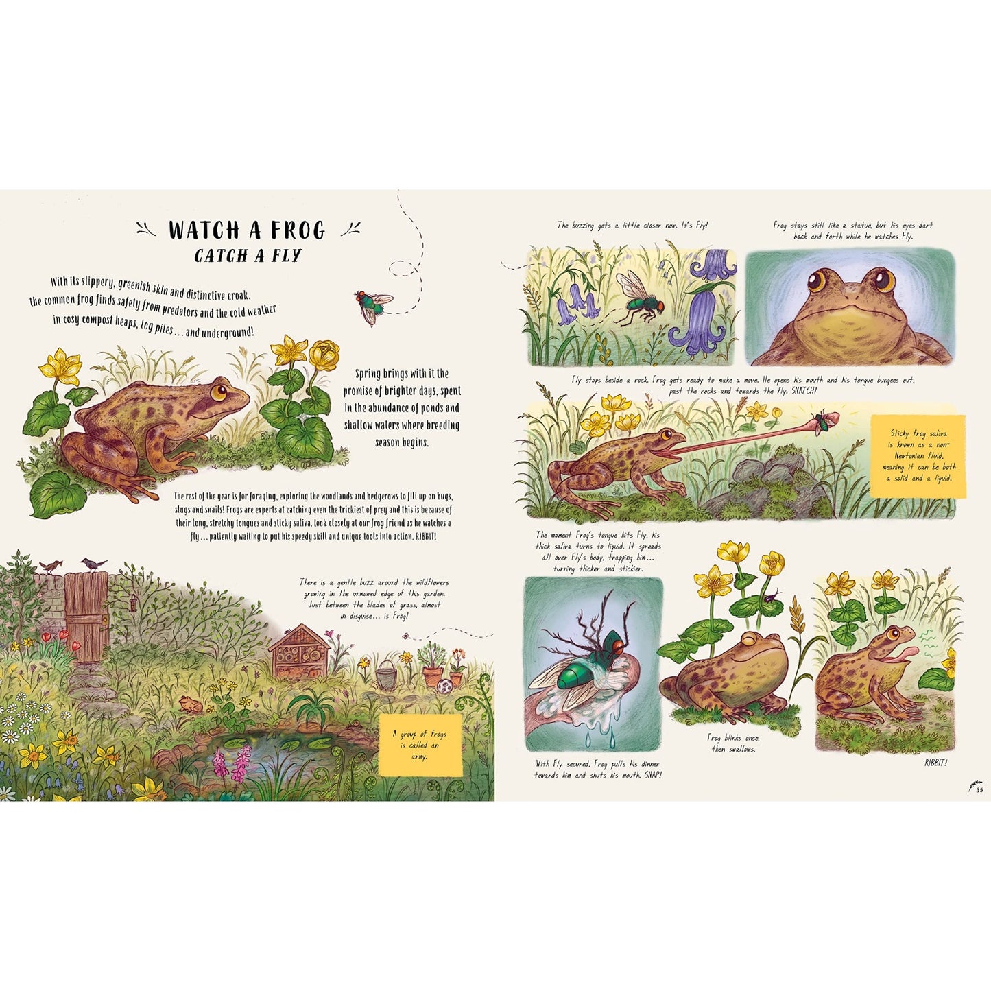 Slow Down and Be Here Now: More Nature Stories to Make You Stop, Look & Be Amazed | Children's Books on Nature