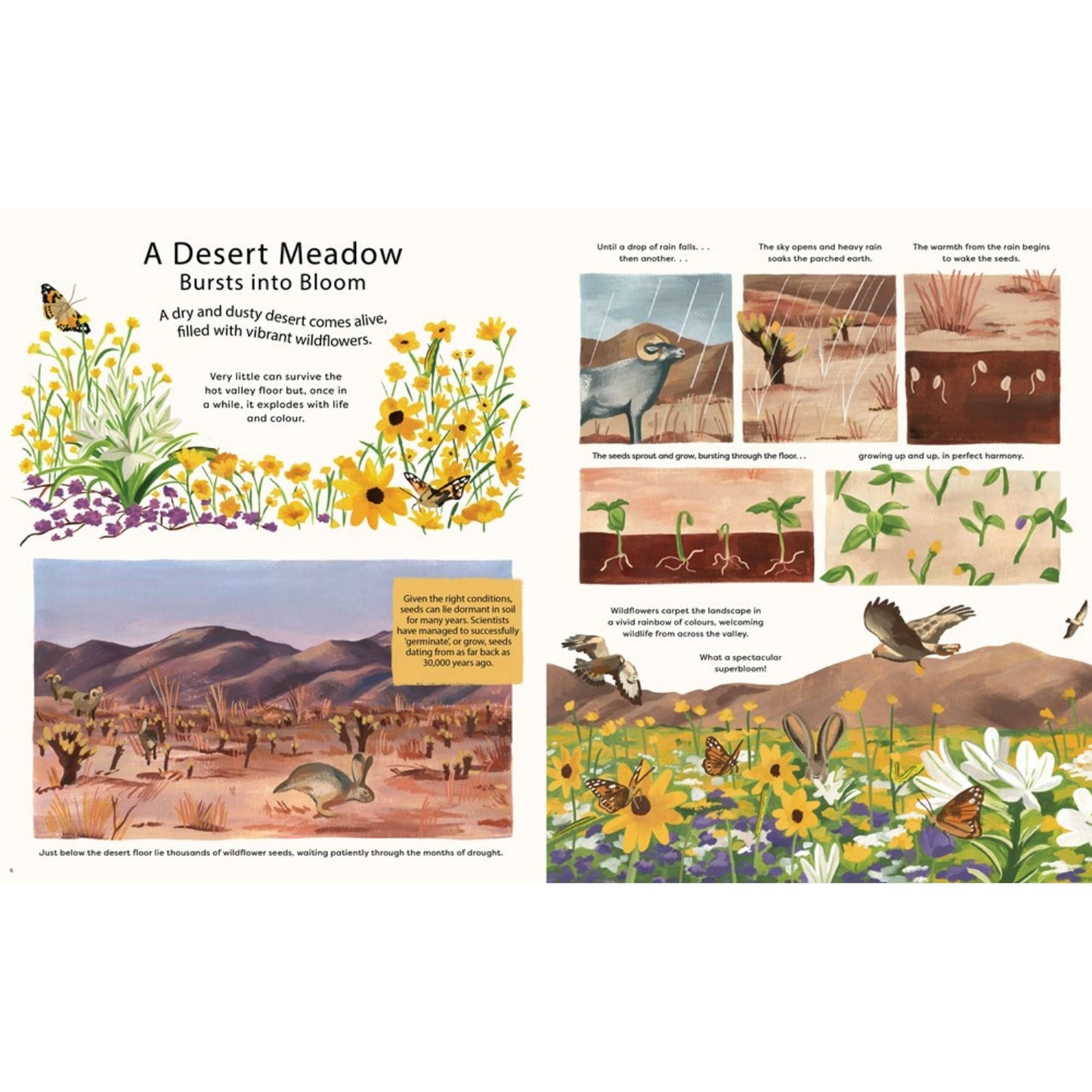 Nature in a Nutshell: Watch 40 Natural Wonders Unfold | Hardcover | Children's Book on Nature