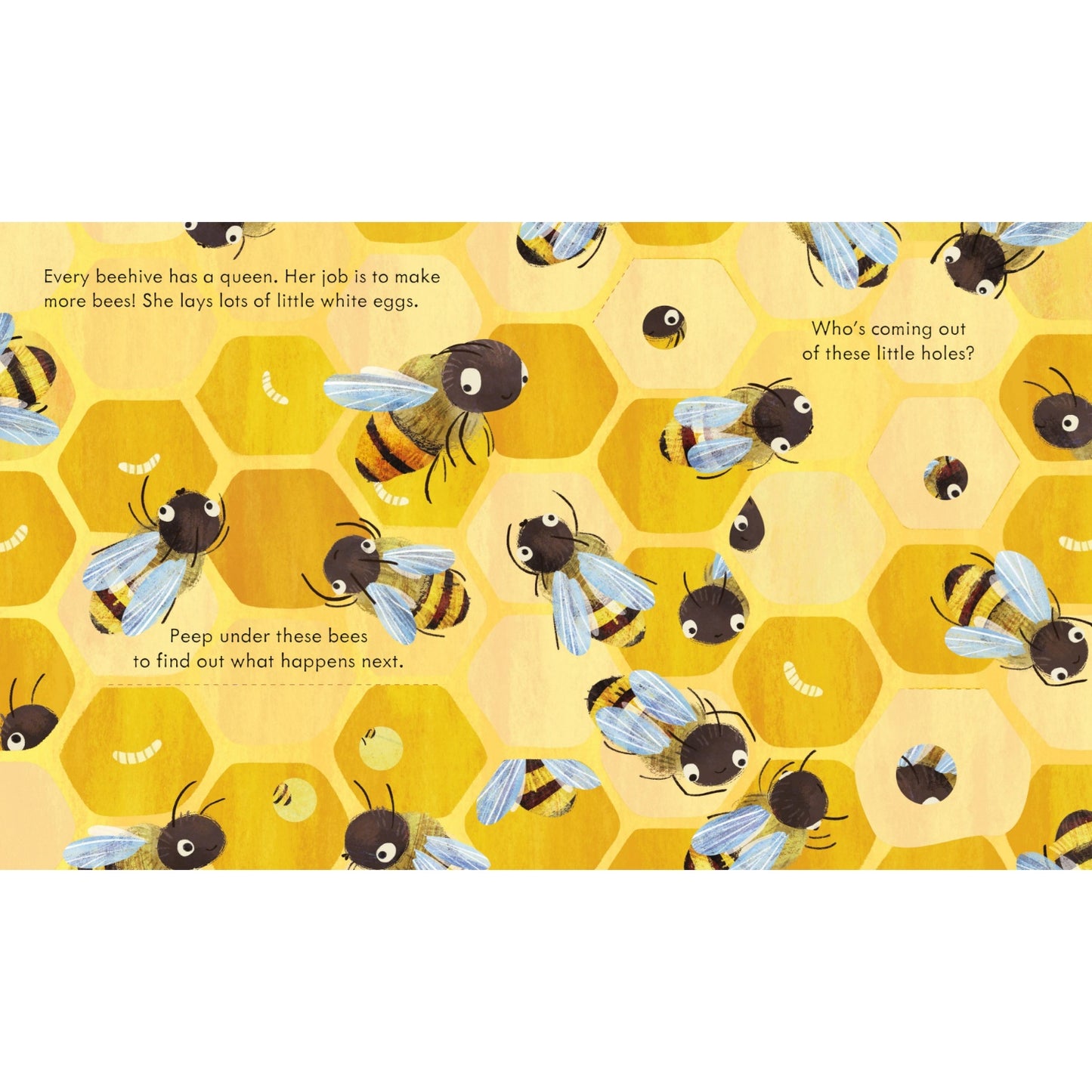 Peep Inside A Beehive | Children's Book on Bees and  Nature