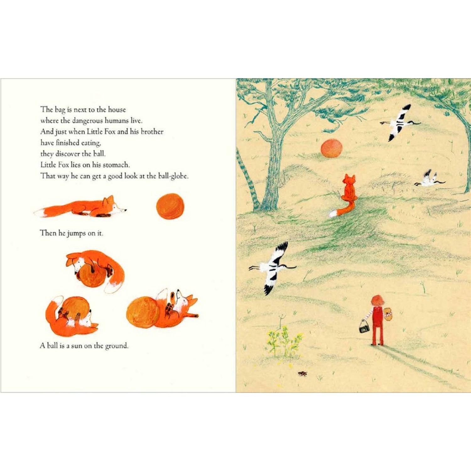 Little Fox | Children's Book on Friendship | Levine Querido | Sample Pages | BeoVERDE.ie