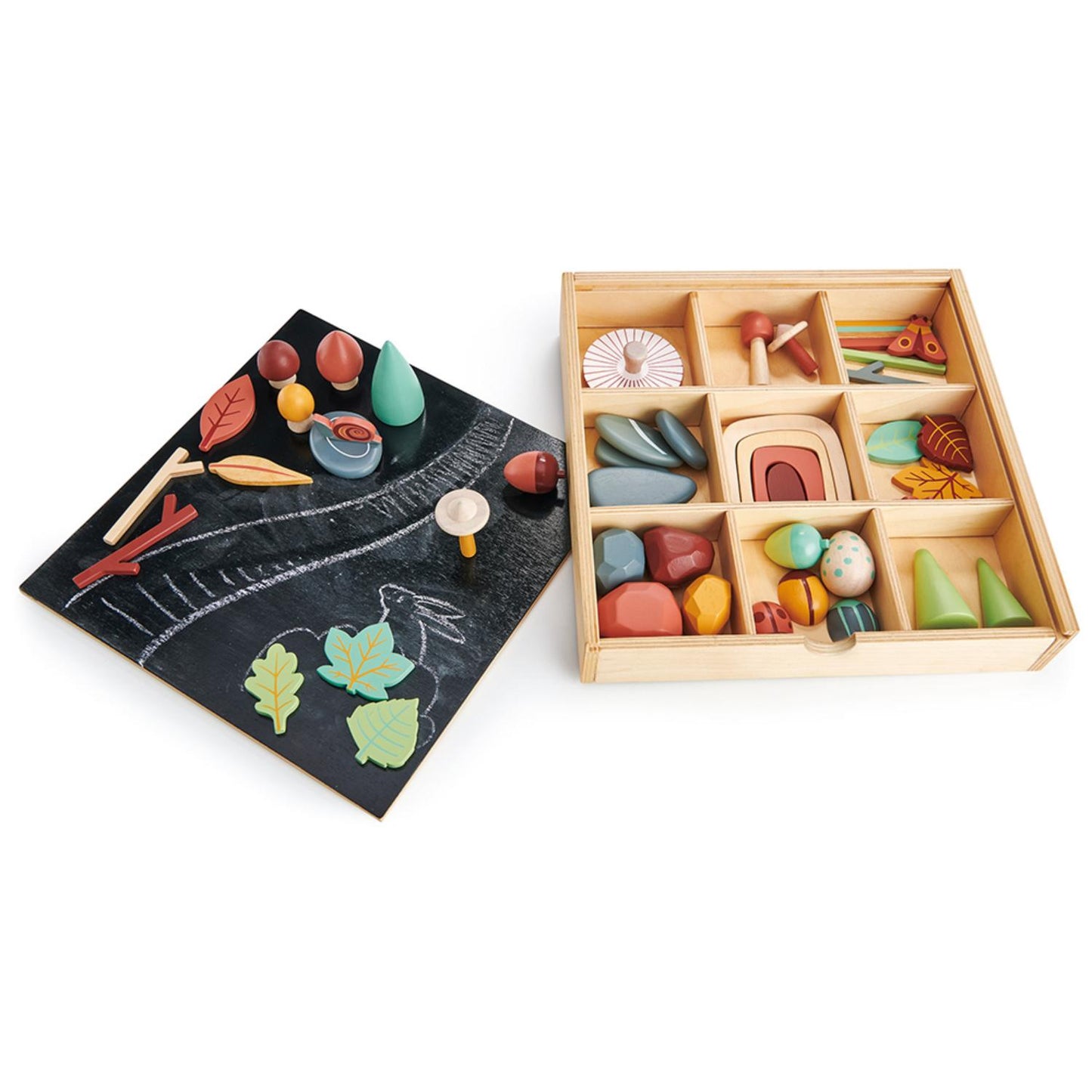 My Forest Floor | Open-Ended Play Wooden Toy Set For Kids | Opened Box And Lid | BeoVERDE.ie