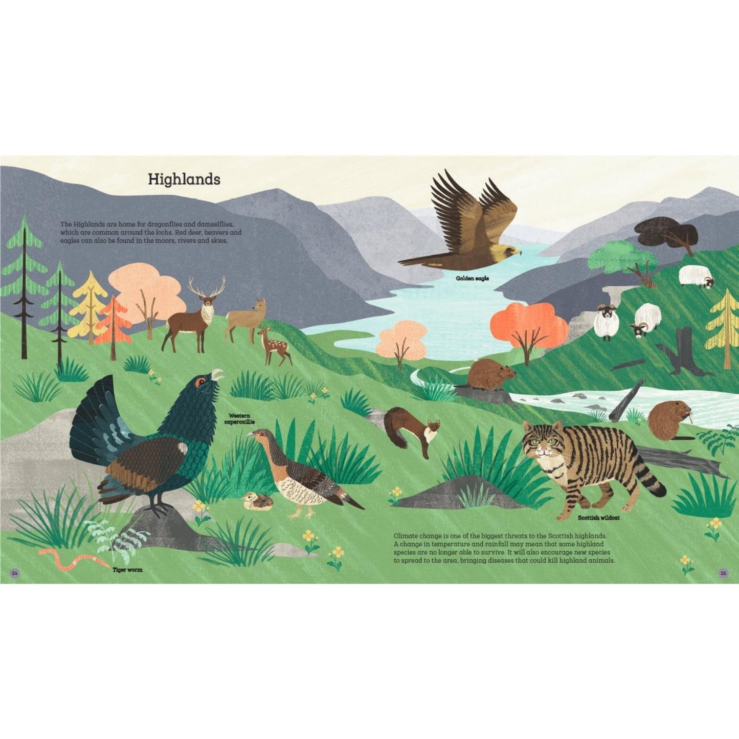 How to Help a Hedgehog and Protect a Polar Bear | Children's Books on Activism