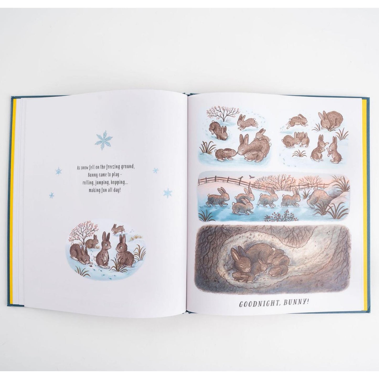 Slow Down... and Sleep Tight | Hardcover | Children's Books on Nature