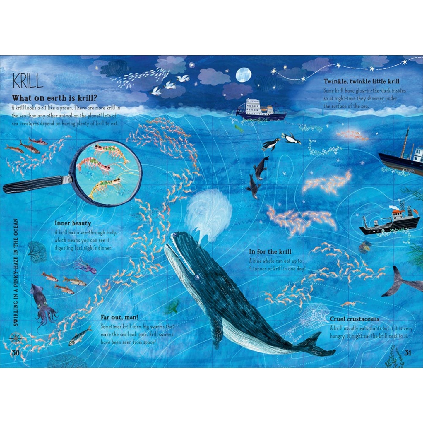 The Big Book of the Blue | Children's Picture Book on Marine Life