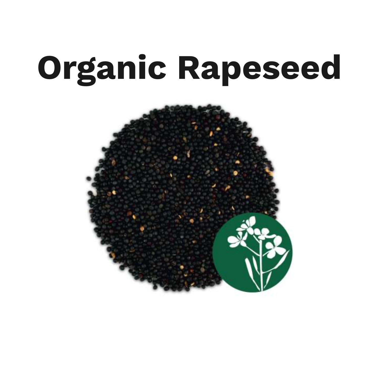 Large Organic Warming Pillow for Babies and Young Children | Organic Rapeseeds Sample | BeoVERDE.ie